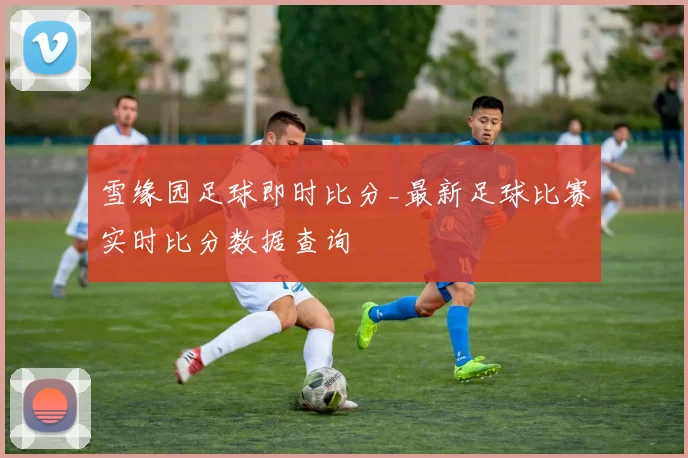 雪缘园足球即时比分_最新足球比赛实时比分数据查询