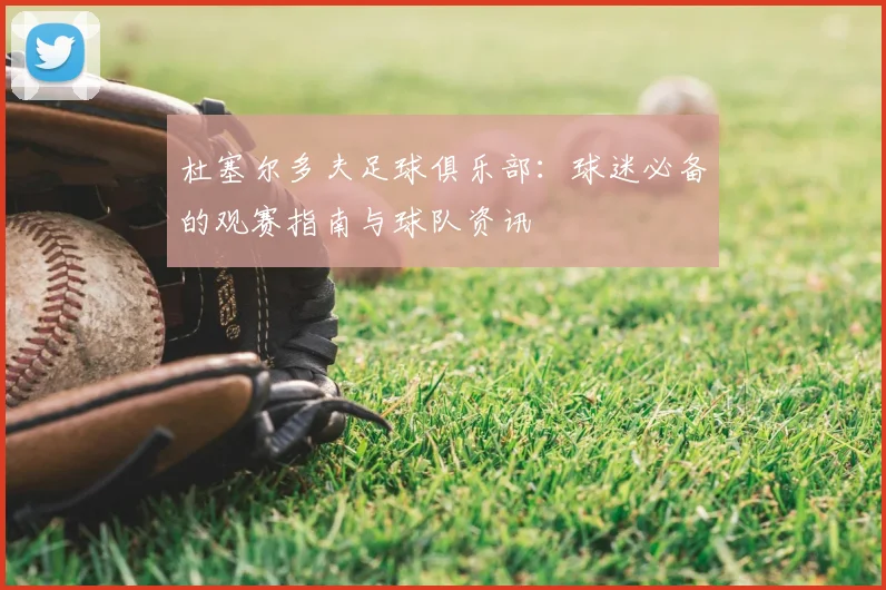 杜塞尔多夫足球俱乐部：球迷必备的观赛指南与球队资讯