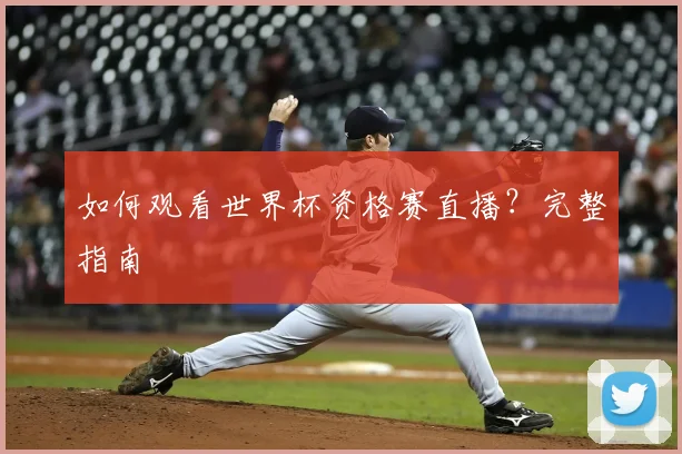 如何观看世界杯资格赛直播？完整指南